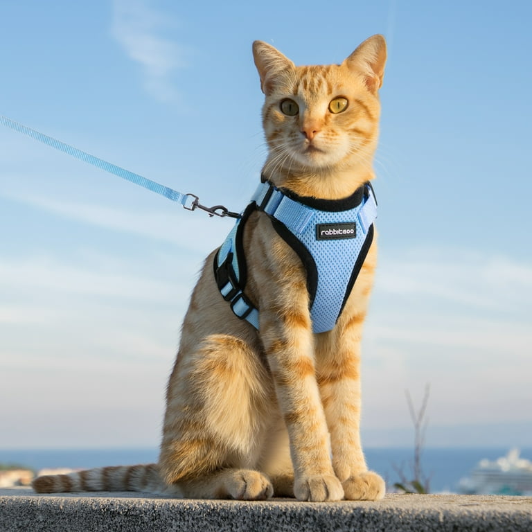 rabbitgoo Adjustable Cat Harness and Leash Escape Proof Vest Breathable with Reflective Strips Baby Blue Walmart
