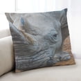 thumbnail image 1 of Ahgly Company Animals Rhinoceros Coussin d'Intérieur, 18 Pouces par 18 Pouces, 1 of 6