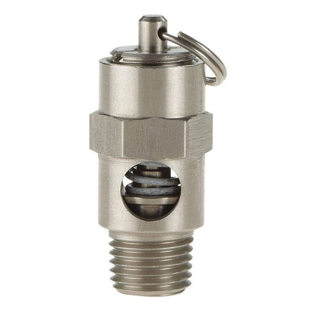 Safety Valve, Soft Seat, 1/4In, 275 PSI, SS