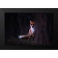 thumbnail image 2 of Mastahac, Sebastian 14x11 Black Modern Framed Museum Art Print Titled - Glances, 2 of 5