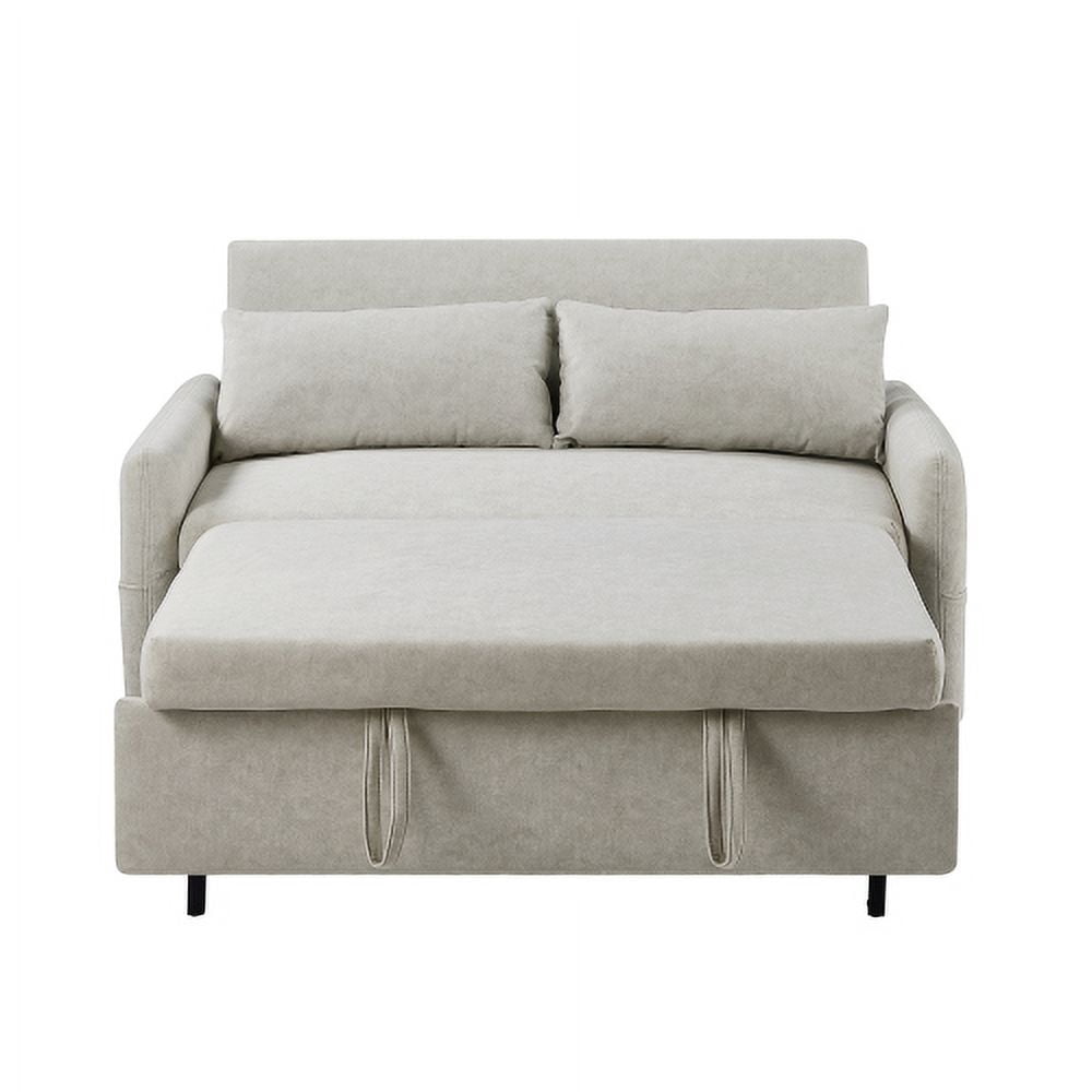 Leumius 2 Seat Sofa Couch with Pull Out Sleep Sofa Bed, Modern Loveseats with USB Ports, Beige