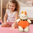 thumbnail image 6 of JunYeShi Clearance&nbsp;Items&nbsp;Under&nbsp;5&nbsp;Dollars&nbsp;Free&nbsp;Shipping&nbsp;Clothing Pumpkin Pig Plush Toy Doll Birthday Gift 10.62In High, 6 of 7