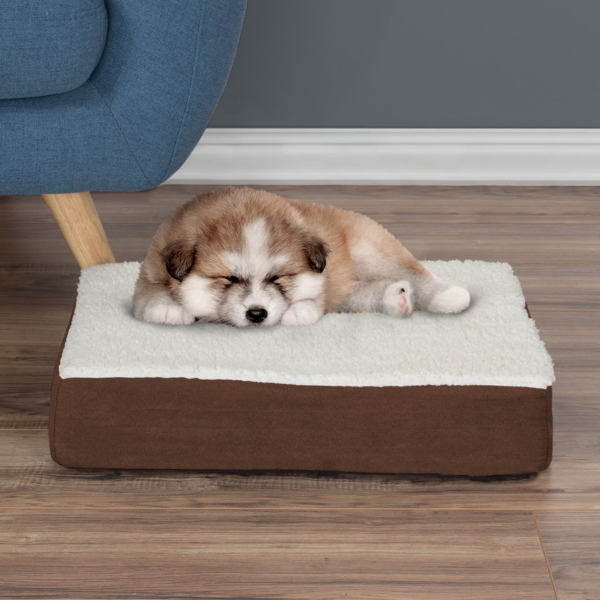 dog beds