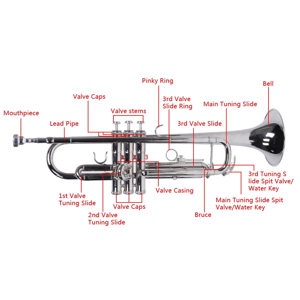Trumpet Set for Students Beginner Bb Standard Brass Instrument ,DFITO Trumpet  with Mouthpiece Gloves Set