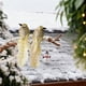 thumbnail image 4 of Ireezec Faux Flying Birds Ornaments Clip-on Christmas Tree Decorations Realistic Feathers Branch Props for Party Festive Decor, 4 of 6