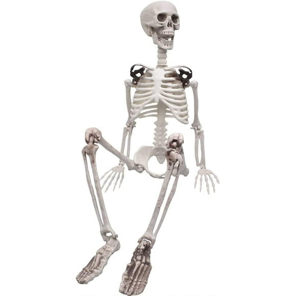 3ft/90cm Halloween Full Body Skeleton Props Realistic Human Bones with Movable Joints for Halloween Party Decoration