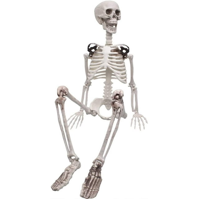 3ft/90cm Halloween Full Body Skeleton Props Realistic Human Bones with Movable Joints for Halloween Party Decoration