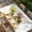 White, variant on Yellow Bees Gnomes Table Cloths for 6 Foot Rectangle Tables, Spring Floral Branches Wooden Patio Waterproof Elastic Fitted Tablecloths, Washable Rectangular Table Cover for Camping