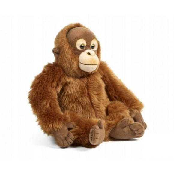 (Orangutan) - Nature Vivante Orangutan