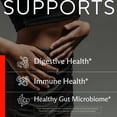 thumbnail image 3 of Premium 4-in-1 Probiotic Prebiotic, Postbiotic & Digestive Enzymes for Men & Women – Supports Gut, Digestion & Immunity –Complete Gut Health with Pre, Post, Probiotics & Digestive Enzymes–60 Capsules, 3 of 9