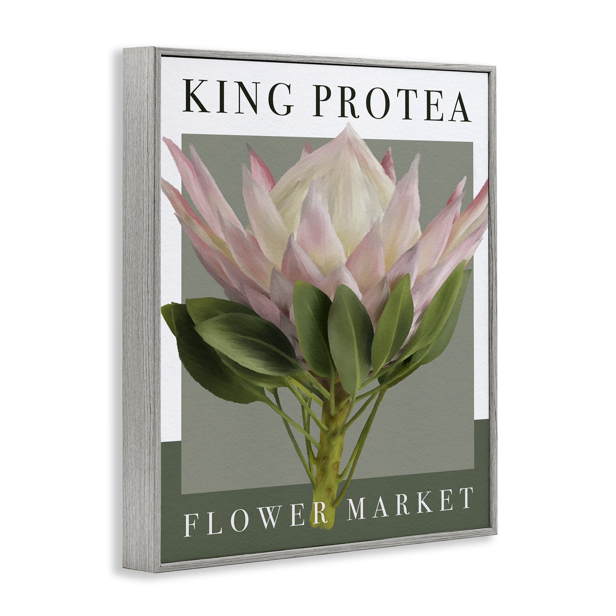 Stupell Industries King Protea Flower Market Gray Framed Giclee Art, design by Jennifer Stith