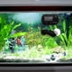thumbnail image 5 of Acuario Termómetro Ventosa Acuario Temperatura Medidor de agua (Negro), 5 of 6