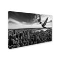 thumbnail image 2 of Trademark Fine Art 'Pigeons On The Empire State Building' Canvas Art by Sergio Sousa, 2 of 3