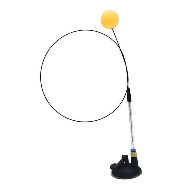 Pelota de Juguete con varita Sunnimix Juguetes interactivos para gatos Juguete Vara Argenta
