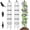 12.5"x81"-2 PCS, variant on 2-Pack 6FT Garden Obelisk Trellis for Climbing Plants,Adjustable 4-Tier Metal Plant Support,Rustproof Outdoor Plant Tower with 3 Decorative Tops for Roses,Tomatoes,Clematis & Vines,Black