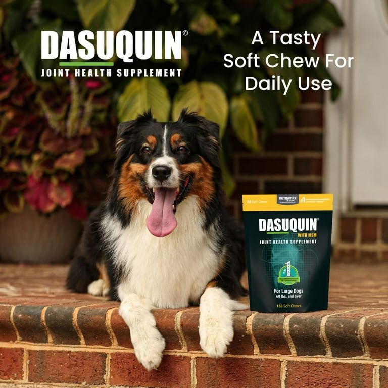 Dasuquin MSM Glucosamine Chondroitin Supplement Joint Support