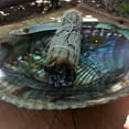 thumbnail image 5 of Natural White Sage Sticks - Fresh, Natural Sage Smudge Sticks with Instructions & Blessings - Wand Sage for Cleansing House Negative Energy & Other Smudging Rituals, 5 of 7