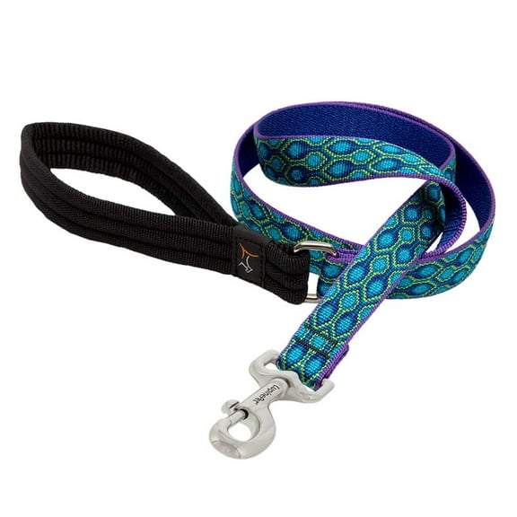 LupinePet Originals 1" Rain Song 4-Foot Padded Handle Leash for Medium and Larger Dogs