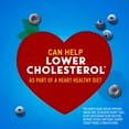 thumbnail image 3 of Blueberry Cheerios, Heart Healthy Cereal, Family Size, 19 OZ, 3 of 10
