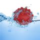 thumbnail image 3 of Vogacara 3D Press Bubble Ball Portable Silicone Decompression Ball Toy Stress Reliever Juguetes para la familia y la oficina Juguetes Manzana roja Vogacara FN007213-01, 3 of 6