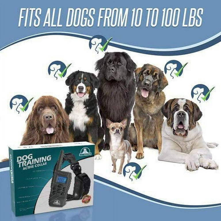 Training toys for dogs – Pawsindia