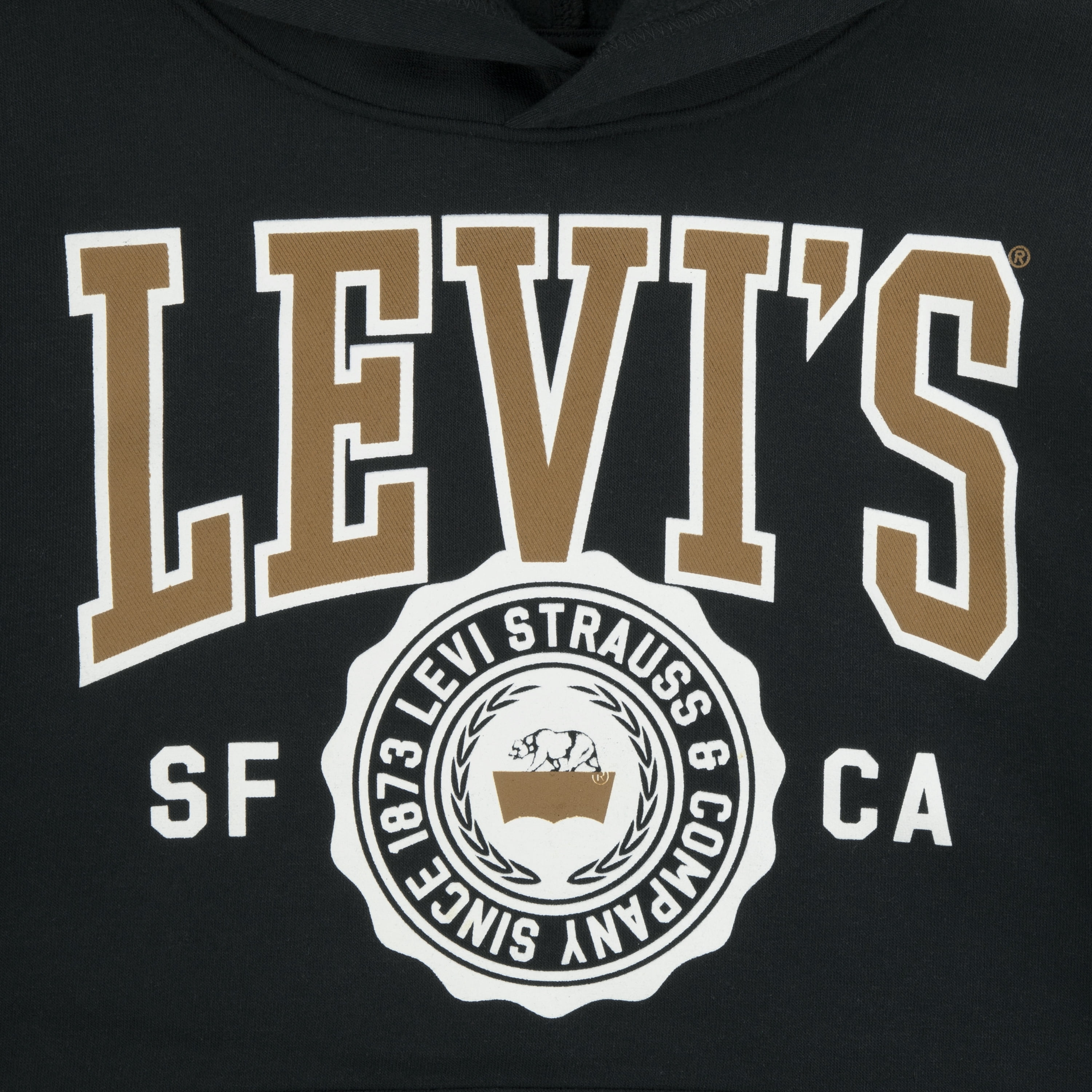 Levi's Boys Sporty Hoodie, Size 8-20