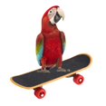 thumbnail image 4 of LAFGUR Bird Skateboard, Toys, Durable Parakeets For Cockatiels Parrots Other Small Birds, 4 of 8