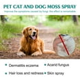 thumbnail image 2 of Pet Wound Spray,Pet Skin Rash Moss Scratching Trauma Wound Treatment Repair Antibacterial Liquid,Promote Wound Healing,Relieving Skin Itch，1pcs, 2 of 9