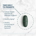 thumbnail image 5 of Metagenics PhytoMulti Tablets with Iron - Daily Multivitamins with Phytonutrients - Multivitamin for Men & Women - PhytoMulti Vitamin Supplement - With Iron, Zinc & B6 Vitamins - 60 Tablets, 5 of 7