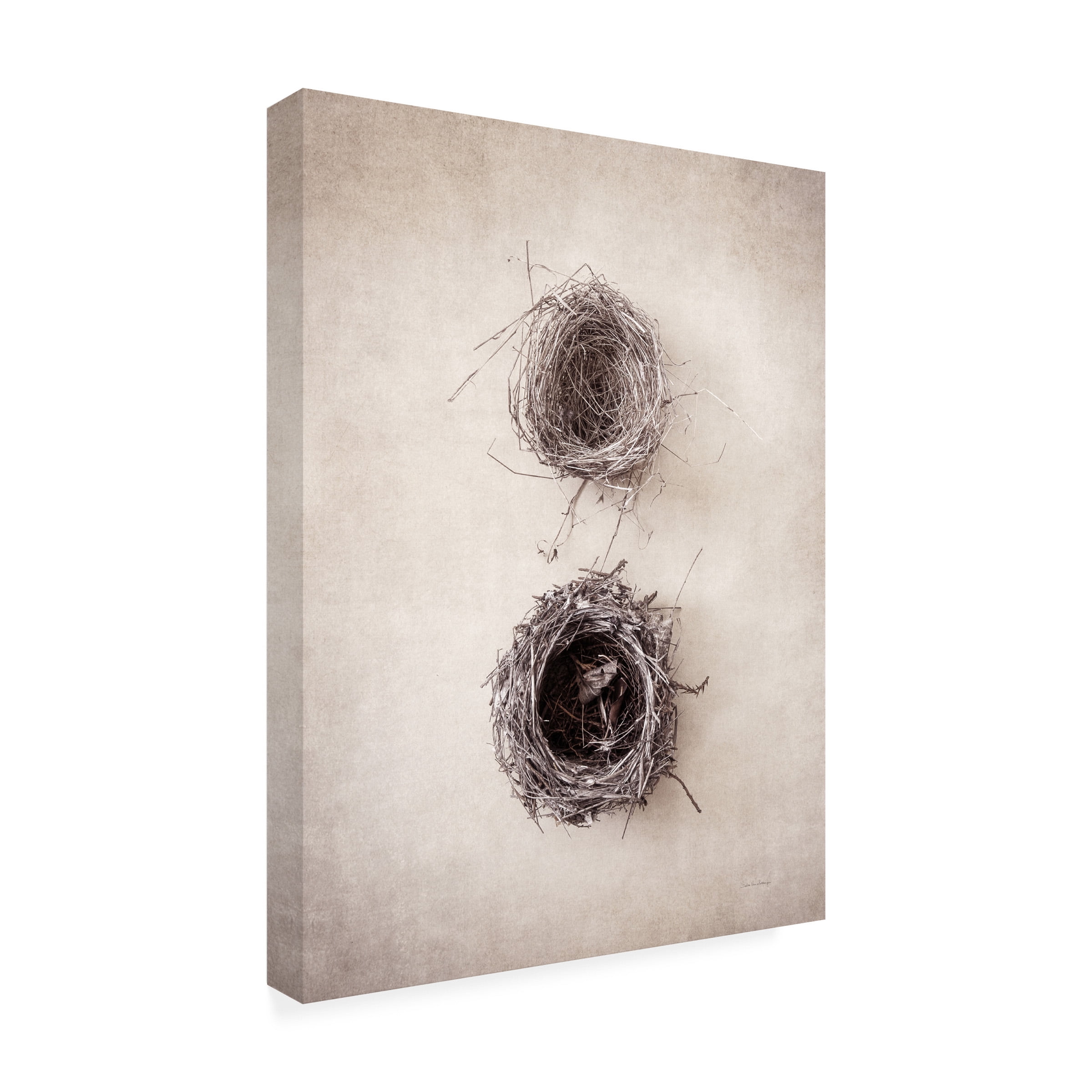 Debra Van Swearingen 'Nest IV' Canvas Art