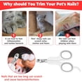 thumbnail image 5 of Pet Nail Clippers for Cats Professional Small Dog Nail Trimmers Cat Bird Bunny Puppy Pet Nail Clippers for Novice Pet Families (Grey), 5 of 5