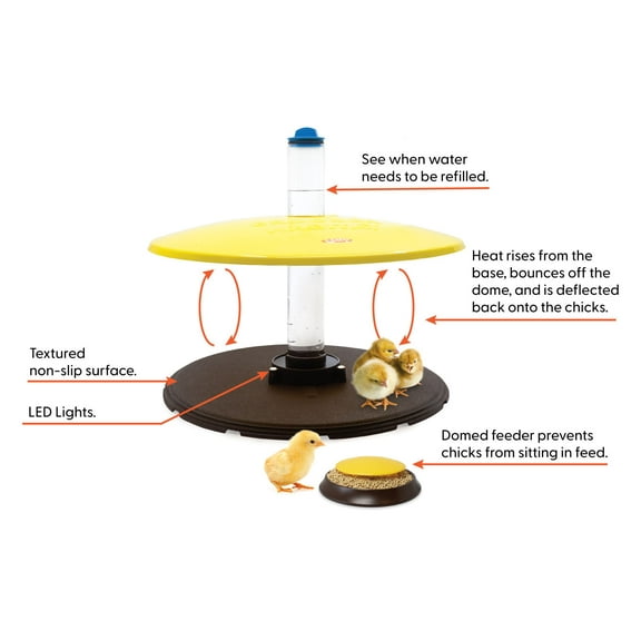 Cozy Chickens Premium Chick Brooder Habitat PLUS Includes Water Tube Feeding Dish 36 Watts Safer Than Brooder Lamps