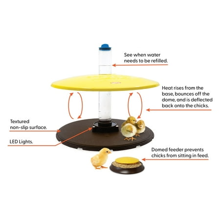 Cozy Chickens Premium Chick Brooder Habitat PLUS Includes Water Tube Feeding Dish 36 Watts Safer Than Brooder Lamps