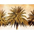 thumbnail image 2 of Nall, Skip 32x25 White Modern Wood Framed Museum Art Print Titled - Palms on Brown III, 2 of 4