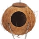 thumbnail image 5 of Cama columpio para loros, cáscara de coco, loros, pájaros, nido para mascotas, suministro de nido para pájaros con escalera elaborada por expertos, 5 of 8