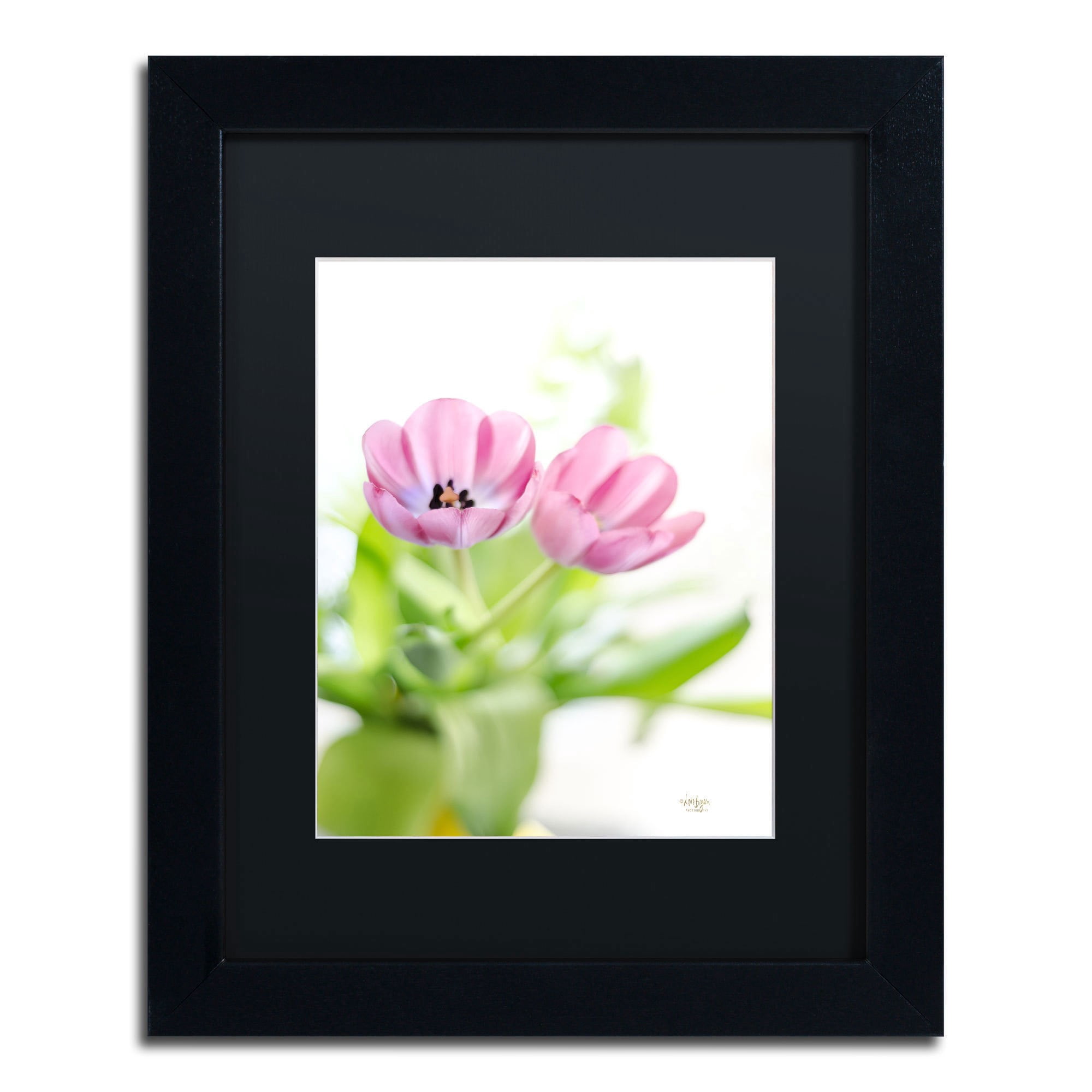 Trademark Fine Art "Pink Tulips Drenched in Light" Canvas Art by Lois Bryan, Black Mat, Black Frame