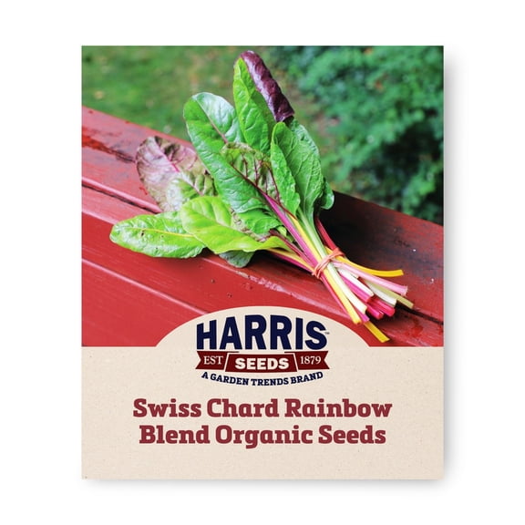 Harris Seeds Organic Rainbow Blend Swiss Chard, Multicolor Stems Leafy Greens for Garden Harvest, 50 Count