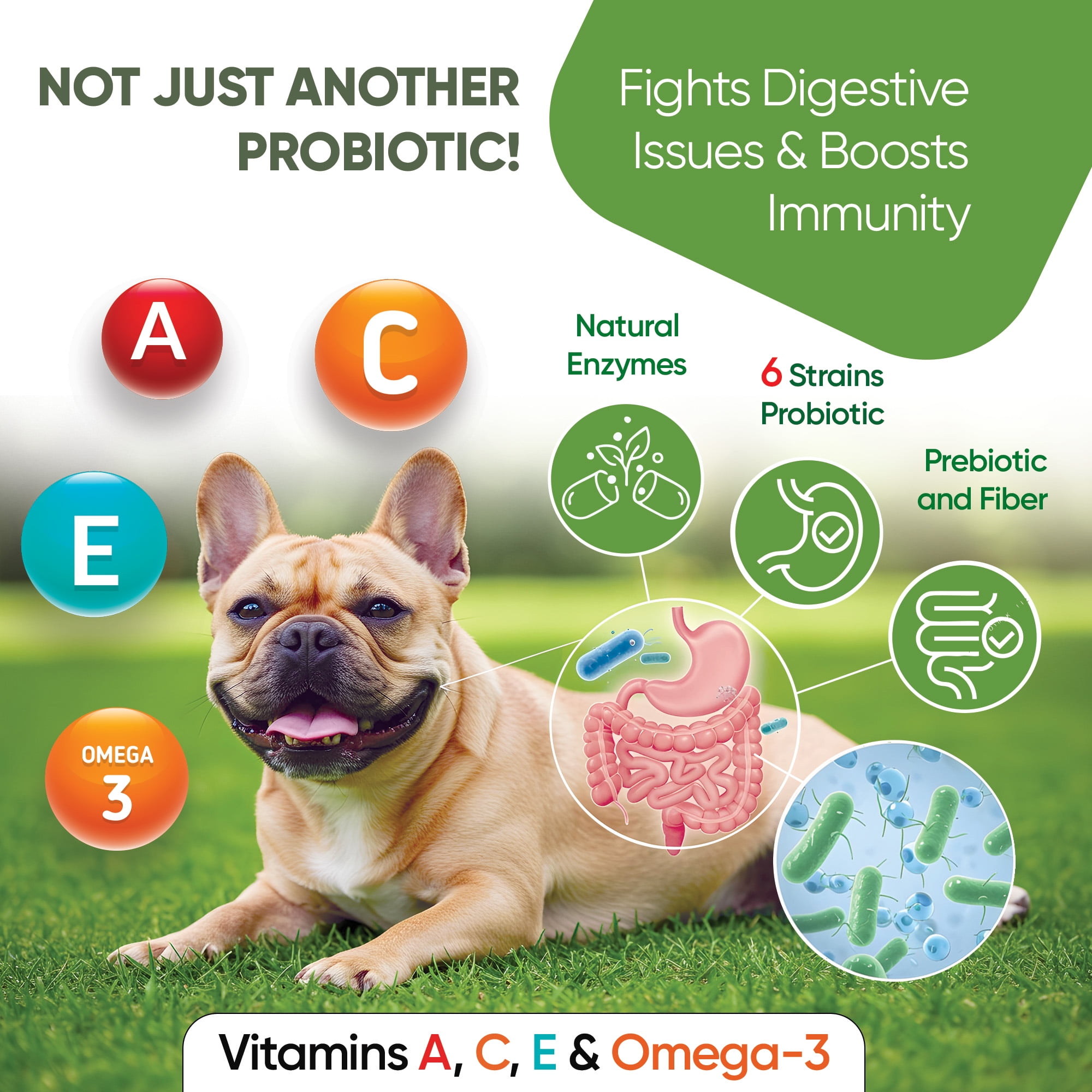 Pawious Probiotics for Dogs - 120 ct. - Diarrhea, Itchy Skin and Allergies Support - Delicious Probiotic Chews for Dogs