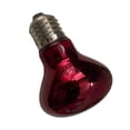 thumbnail image 6 of NOVELAR Reptile Heating Bulb with UVA Light, 3.15 in Length, Simulates Natural Sunlight for Animal Health, Perfect for Ceramic Lamp Holders in Pet Enclosures, 6 of 7