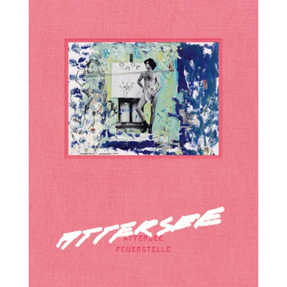 Pre-Owned Attersee: Feuerstelle (Hardcover 9783791358642) by Stella Rollig, Britta Schmitz, Jurgen Dollase