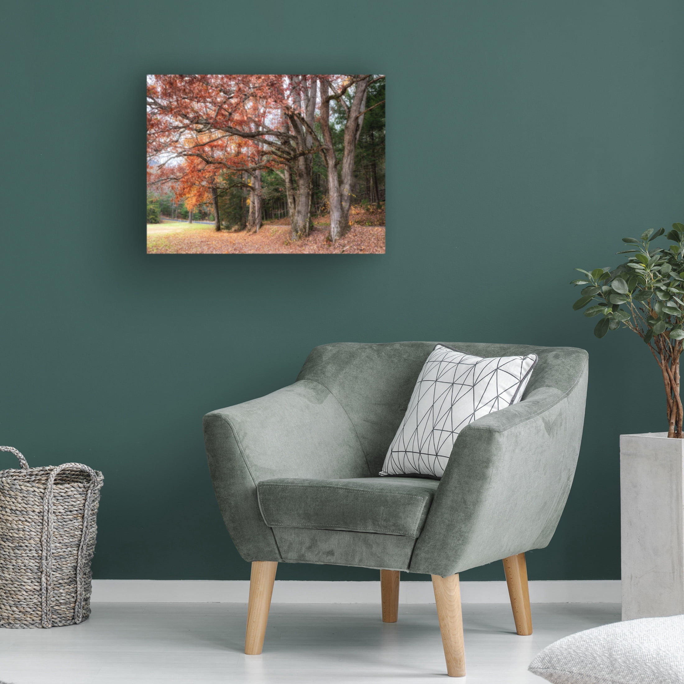 Canvas Wall Art - Danny Head 'Autumn Drive II' Wall Art for Living Room, Bedroom, or Office Décor by Trademark Fine Art - 32 x 24 Inches