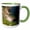 Green/White, variant on 3drose, Canada, Nova Scotia, Cape Breton, Ingonish-cn07 Cmi0495 - Cindy Miller Hopkins, 11oz Two-tone Green Mug