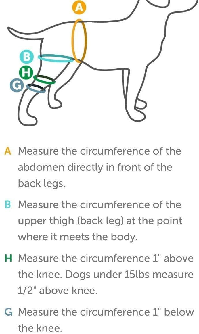 canine knee brace by neoprene