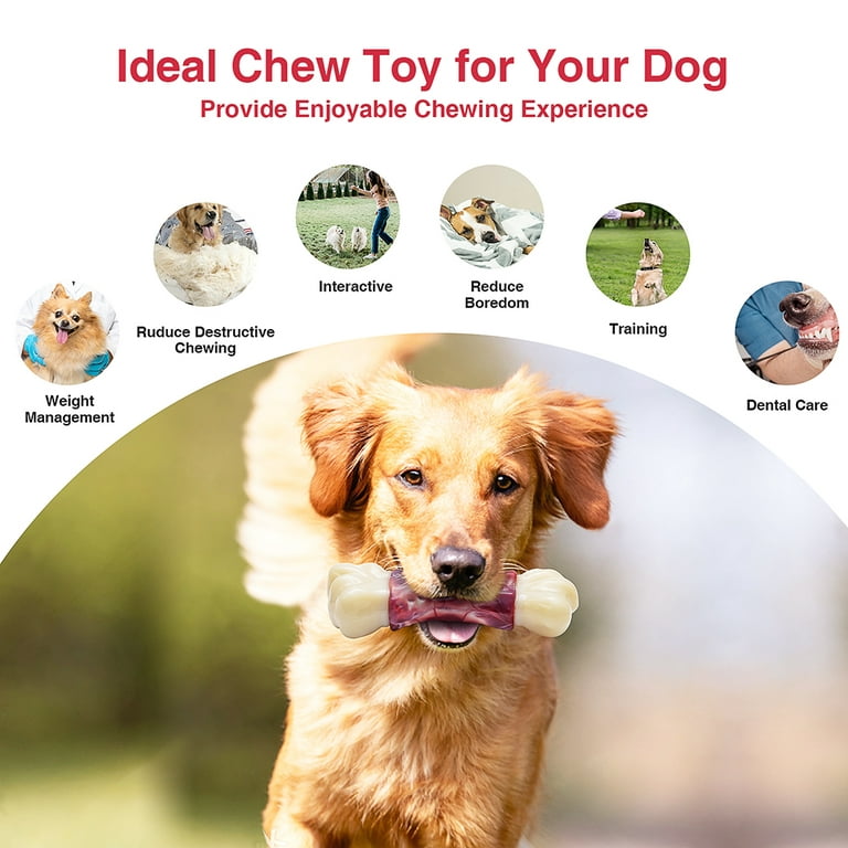MASBRILL Interactive Dog Chew Toy–Brightly Colored Dog Enrichment Toy for  Aggressive Chewers-Purple