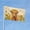 Highland Cow, variant on Funny Sunflower Highland Cow Garden Flags for Outside 3x5 Ft Double Sided Large House Flag Cute Highland Cows Flags Housewarming Gifts for Women Men Cow Lovers House Yard Outdoor Patio Decor