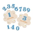 thumbnail image 3 of HILABEE Baby Monthly Milestone Cards Sign Gift Keepsake Memories Unique Double Sided Blue, 3 of 9