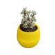 thumbnail image 4 of Nestingho Maceta De Resina Para Plantas Suculentas Duradera Para Hogar Y Oficina, 4 of 8