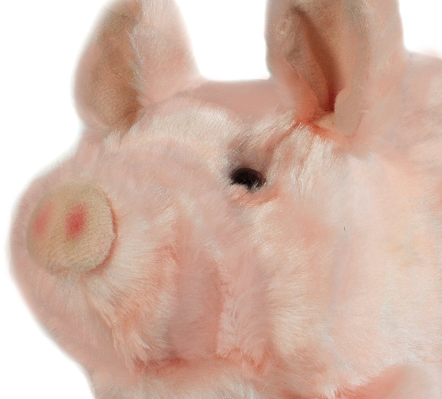 walking oinking pig toy