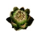 thumbnail image 1 of Cabeza de piña grande verde planta simulada flor verde bonsái pequeño/plástico/diámetro 10 altura 105/10x10x11120 ANGGREK Otros, 1 of 8