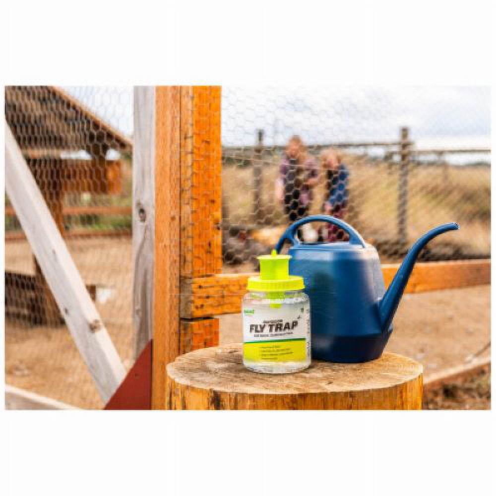 Rescue FTR-DT12 Reusable Ready To Use Non-Toxic Fly Trap - Quantity of 12